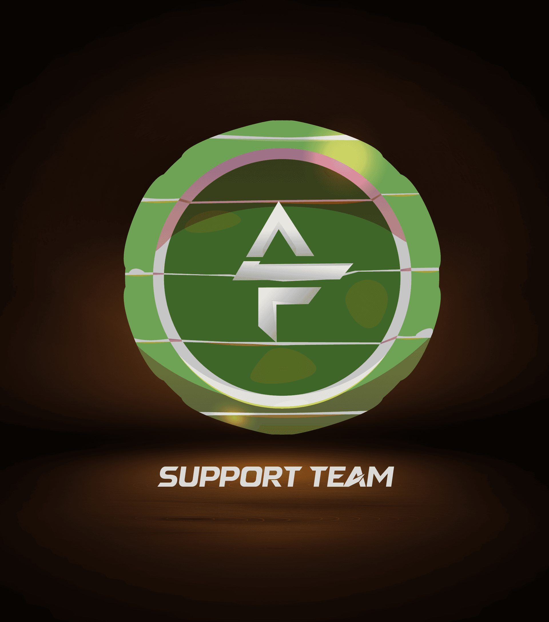 Support Team image 0